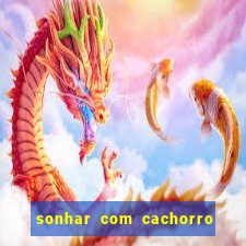 sonhar com cachorro sem cabeca